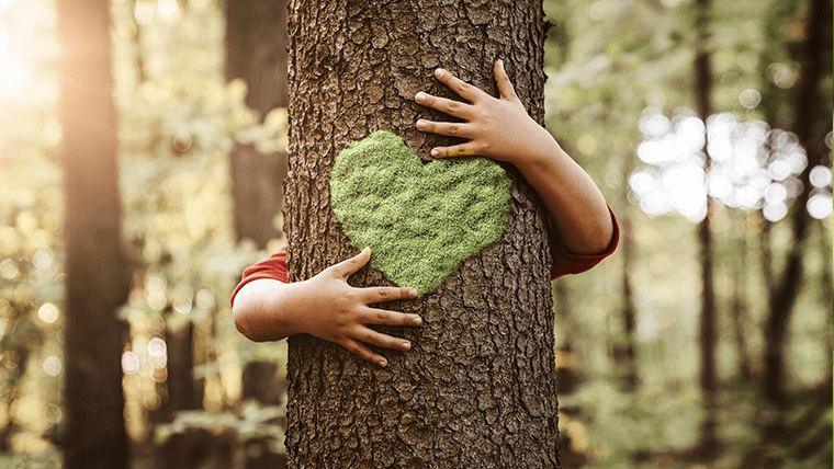 Dziecko obejmujące drzewo – Co to jest ekologia?