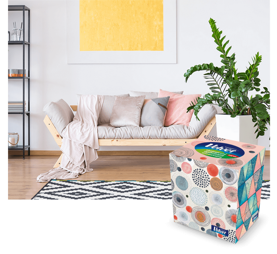 Jany pokój z nowoczesnym wnętrzem z wieloma obrazami i jasną kanapą – prezentacja produktu Velvet: chusteczek higienicznych w pudełku z egzotycznymi wzorami