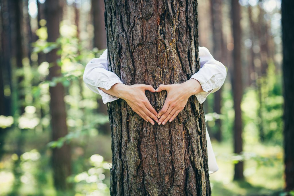Światowy Dzień Lasu – przytulanie drzew przez kobietę