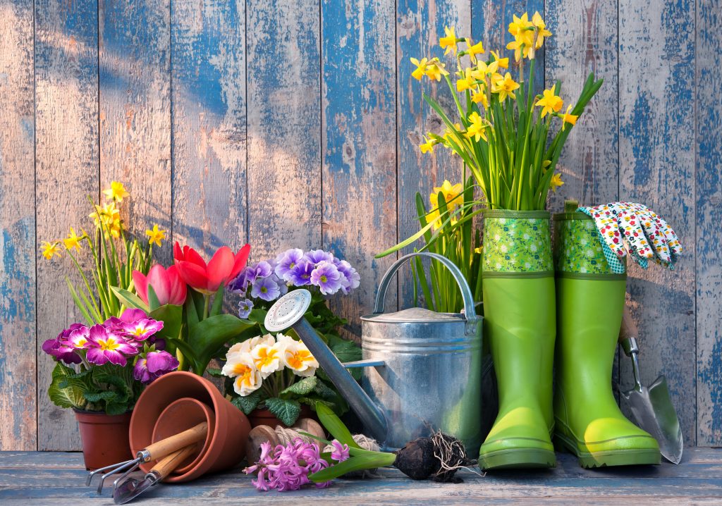 Wiosenne porządki w ogrodzie – jak dbać o ogród?