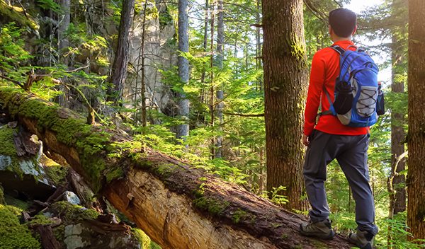 Mężczyzna wchodzący po pniu drzewa w lesie – Jak uczcić Światowy Dzień Lasu