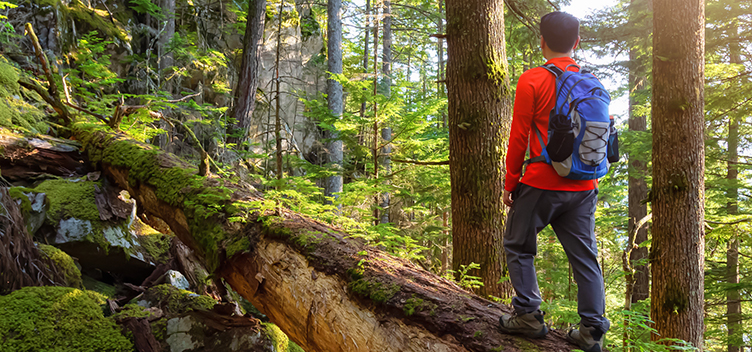 Mężczyzna wchodzący po pniu drzewa w lesie – Jak uczcić Światowy Dzień Lasu