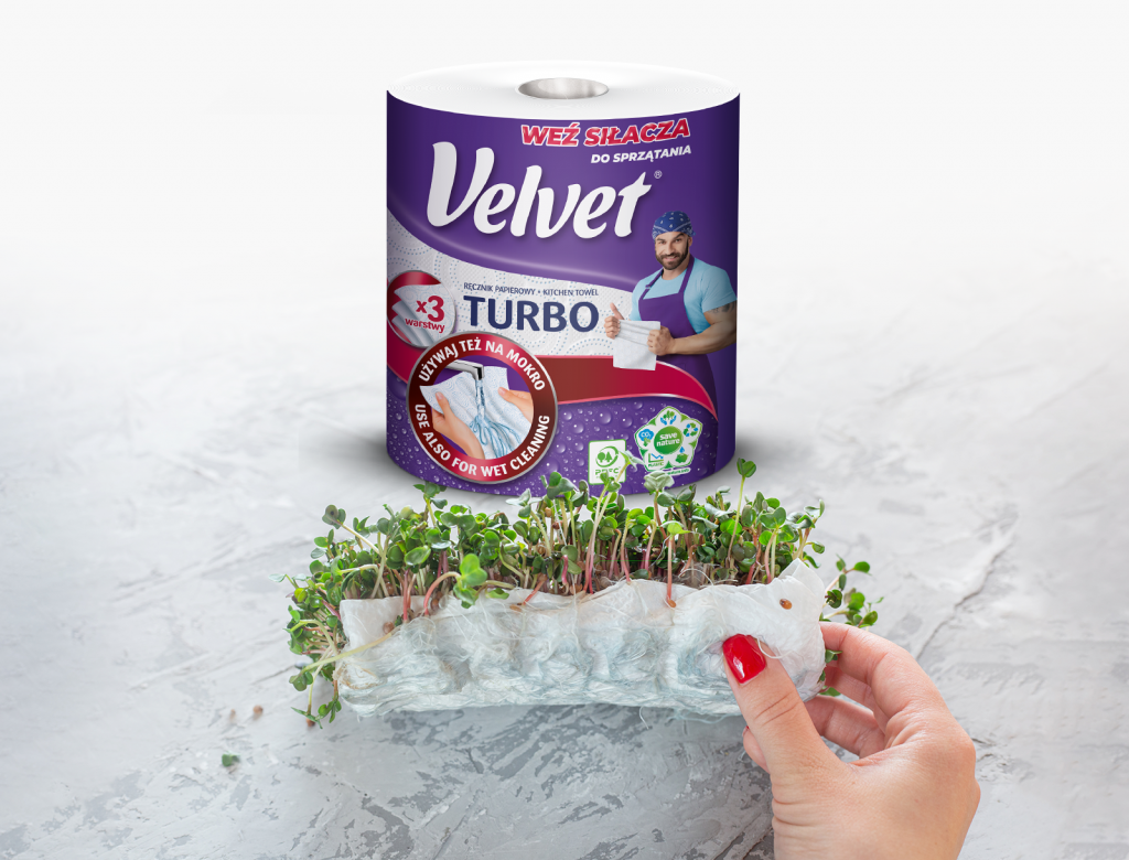 Uprawa rzeżuchy na ręczniku papierowym Velvet Turbo - Parapetowy ogródek – TOP 5 roślin bez których ani rusz!