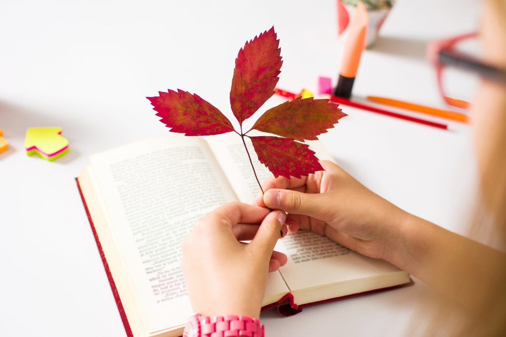 DIY zakładka do książki z liści